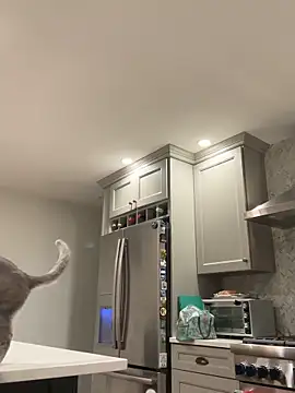 1totangox online show from 30, 11, 2025