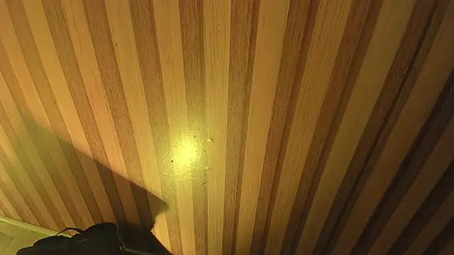 mia  blaze   online show from 30, 3, 2026