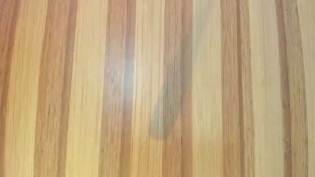 mia  blaze   online show from 4, 11, 2025