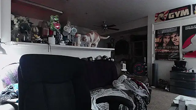 biggerisbetter12 online show from 11, 4, 2026