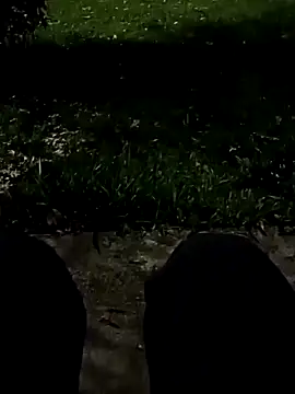 roludao fun online show from 10, 11, 2025