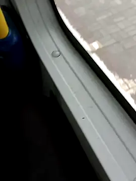 roludao fun online show from 6, 11, 2025