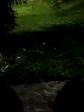 roludao fun online show from 3, 11, 2025