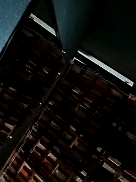 mineiro0388 online show from 28, 10, 2025