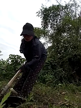 Chmdiemd online show from 21, 11, 2025