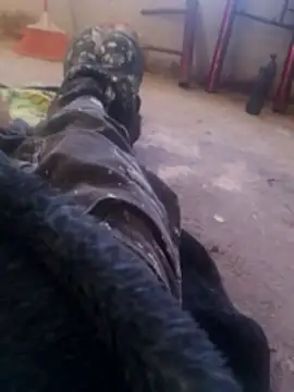 Orlao25cm online show from 8, 11, 2025