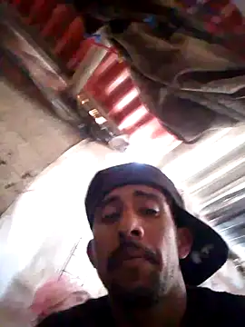 Orlao25cm online show from 20, 10, 2025