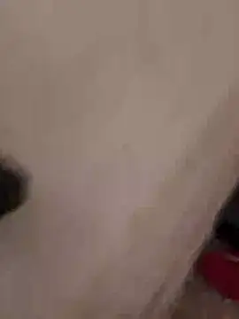 Orlao25cm online show from 12, 11, 2025