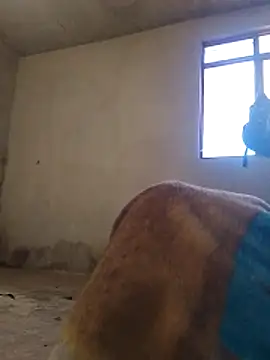 Orlao25cm online show from 9, 11, 2025