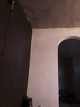 Orlao25cm online show from 23, 11, 2025