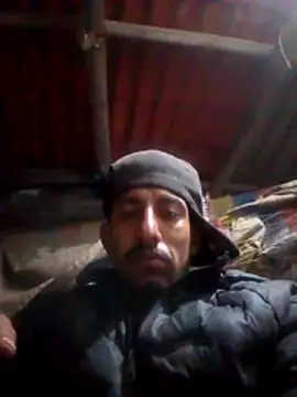 Orlao25cm online show from 20, 10, 2025