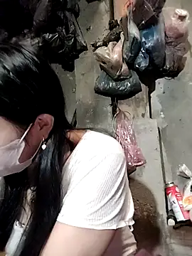 Sinhlinh2020 online show from 13, 11, 2025