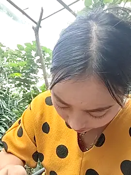 Sinhlinh2020 online show from 6, 11, 2025