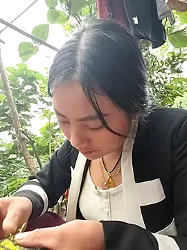 Sinhlinh2020 online show from 4, 11, 2025