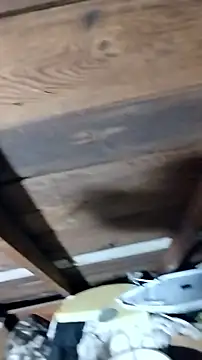 faithfulchic online show from 20, 10, 2025