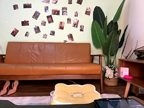 zxcvbnmqwas213 online show from 27, 11, 2025