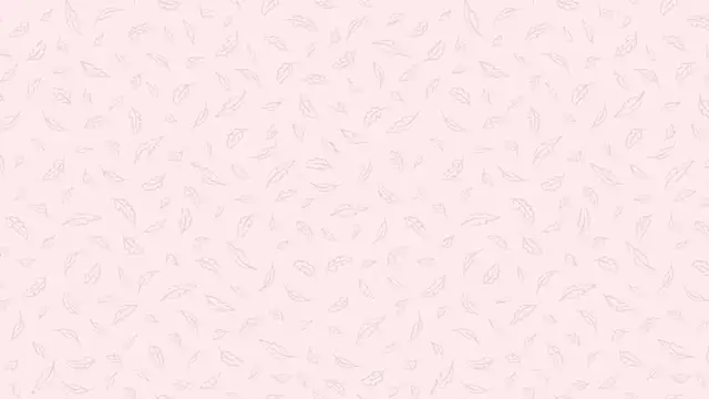 Nalan   online show from 14, 11, 2025