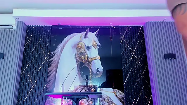 handsome boys22 online show from 16, 11, 2025