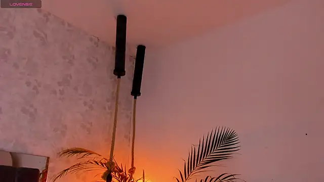 Snapshot of david_lux chatting on 5, 11, 2025 david lux online show from 5, 11, 2025