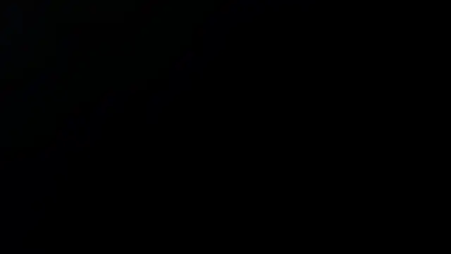 sussa s online show from 4, 12, 2025