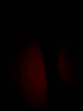 SlattedEndive online show from 8, 3, 2026