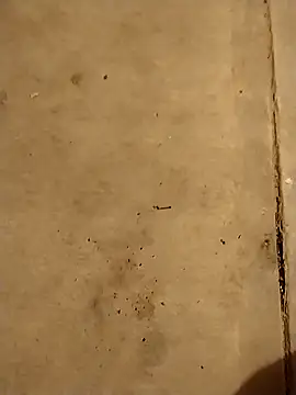 Snapshot of Travieso_21 chatting on 23, 10, 2025 Travieso 21 online show from 23, 10, 2025