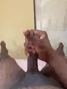 brownieD23 online show from 20, 2, 2026