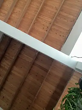 valeriahornier online show from 29, 3, 2026