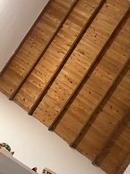 valeriahornier online show from 6, 3, 2026