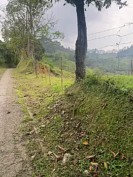 motomotoboy online show from 5, 3, 2026