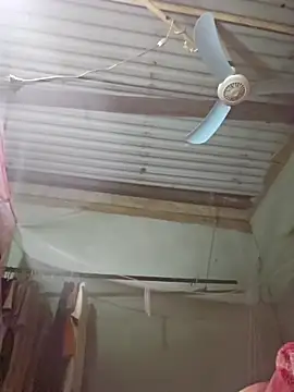 Squirrel-Pear online show from 19, 11, 2025