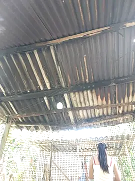 Squirrel-Pear online show from 20, 11, 2025