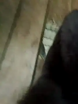 Kylie beem online show from 3, 2, 2026