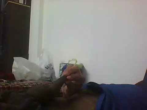 sugar seeker online show from 21, 11, 2025