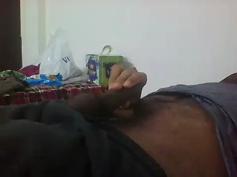 sugar seeker online show from 11, 11, 2025