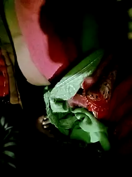 Hot cauple indian online show from 1, 12, 2025