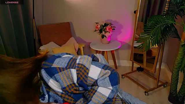 fairy tara online show from 11, 1, 2026