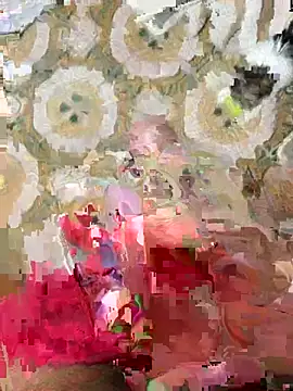 Anaconda Negra20 online show from 10, 1, 2026