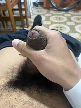 Anaconda Negra20 online show from 15, 11, 2025