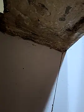 67yoki online show from 15, 11, 2025