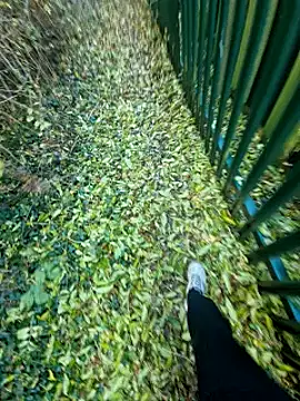 bbyxklaus online show from 31, 10, 2025