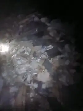 1stcumngo online show from 13, 11, 2025