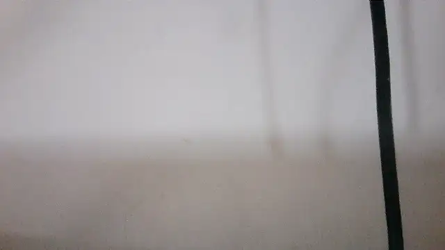 Snapshot of NATTYDOLL74 chatting on 4, 2, 2026 NATTYDOLL74 online show from 4, 2, 2026