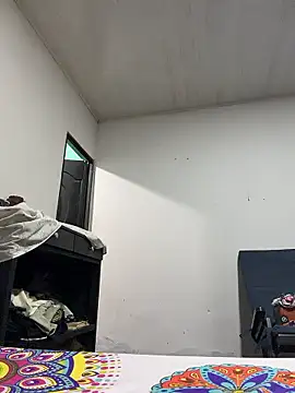 violeta365 online show from 5, 1, 2026