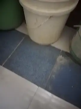 HeatableRevan online show from 24, 3, 2026