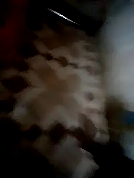 bindasbruno online show from 1, 11, 2025