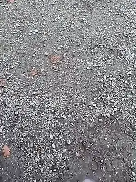 Imyourguy2025 online show from 1, 11, 2025