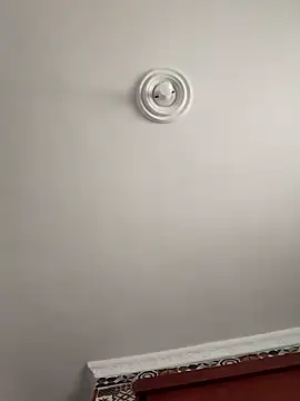 sophiasleepy1 online show from 14, 11, 2025