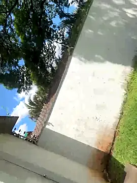 wellingtonmds online show from 19, 10, 2025