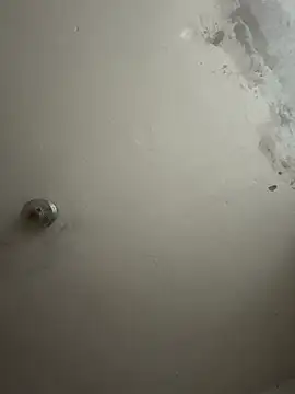 wellingtonmds online show from 1, 11, 2025